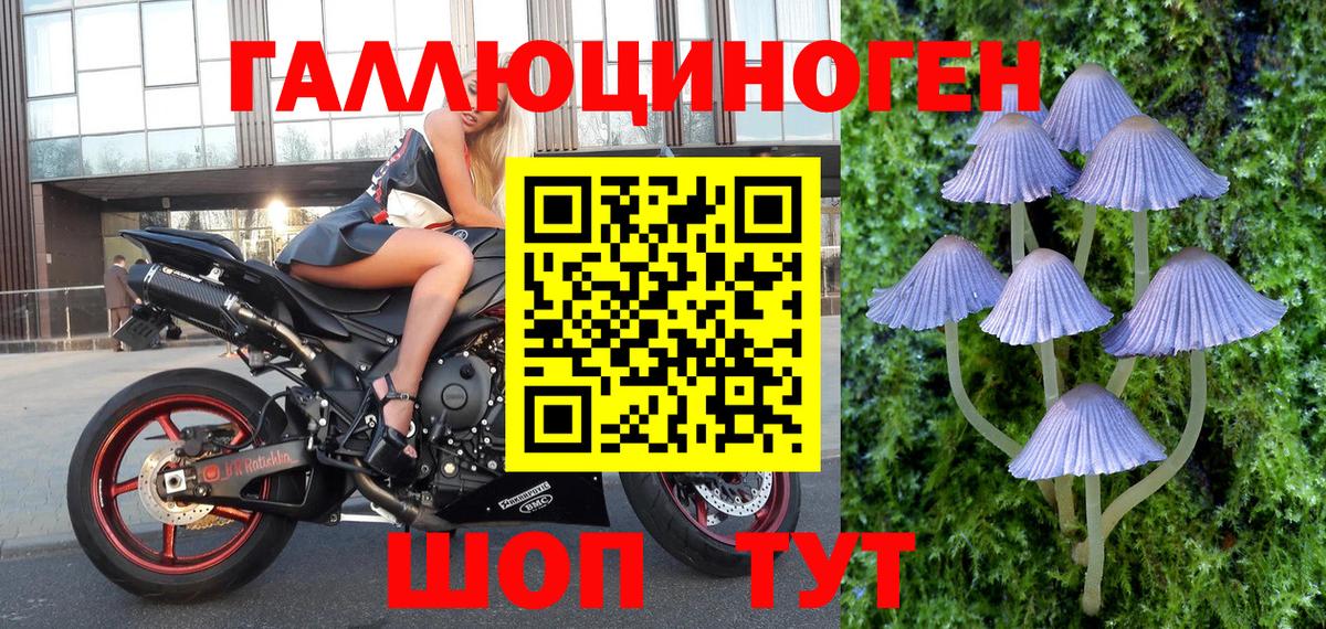Осинники  Псилоцибиновые грибы Psilocybine cubensis  купить наркотик  Галлюциногенные грибы прущие грибы  Вход с VPN 