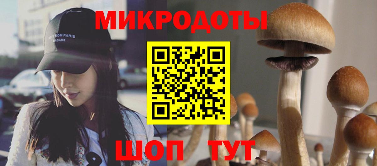 Галлюциногенные грибы мицелий Осинники